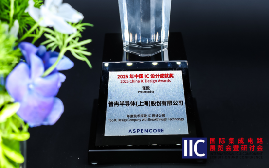 long8-唯一官方半导体斩获IIC 2025年度技术突破奖！用芯定义未来(图1)